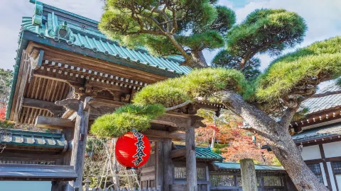 Hasedera attraction in Kamakura