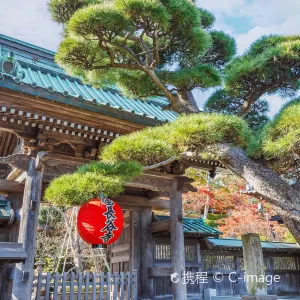 長谷寺