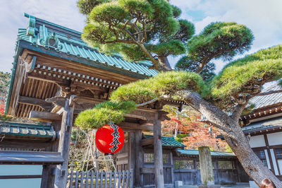長谷寺