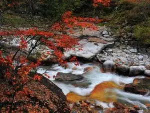 Huangbaiyuan Scenic Area