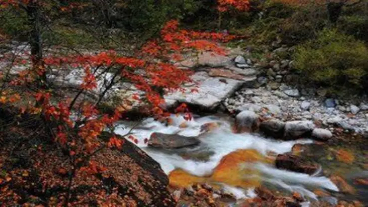 Huangbaiyuan Scenic Area