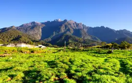 키나발루 국립공원