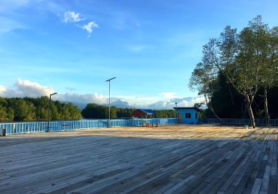 Kota Belud District