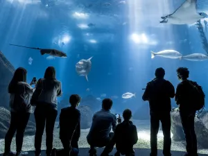 里斯本海洋水族館
