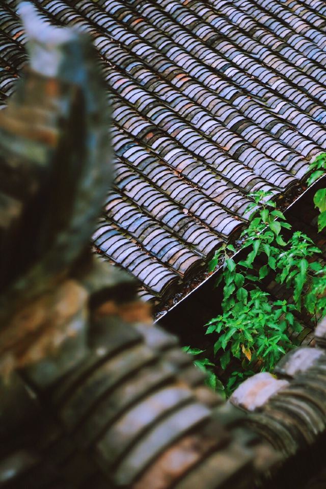 楊家堂村
