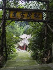 Songmao Ancient Path