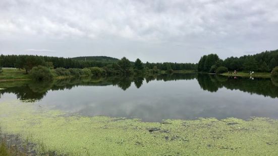 泰豐湖,水面面積300畝，水面平靜如鏡，清澈見底，在艷陽麗日