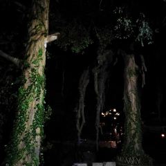 HUANG YAO DA PAI DANG User Photo
