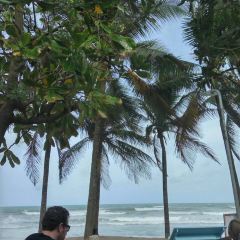 Lillo Island Restaurant & Bar User Photo