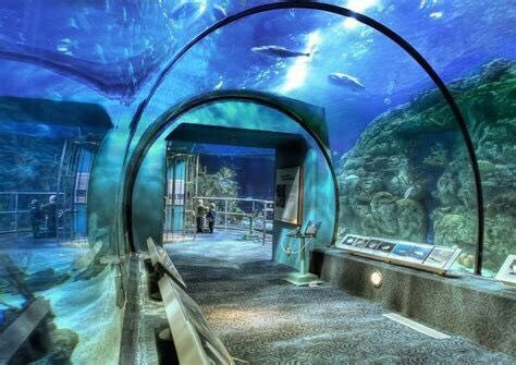 Downtown Aquarium - Denver Travel Reviews｜ Travel Guide