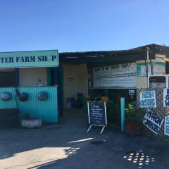 The Oyster Farm Shop 여행 사진