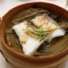 Xiyue8hao (nanjingdonglu) User Photo