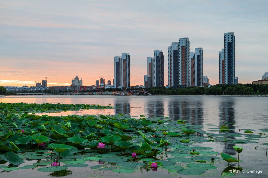 Baishan to Qiqihar Flights