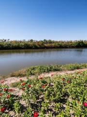 Liaohe Yashe Island Wetland Fishing Spot