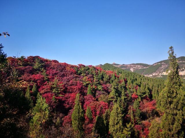The Tianyuan Valley