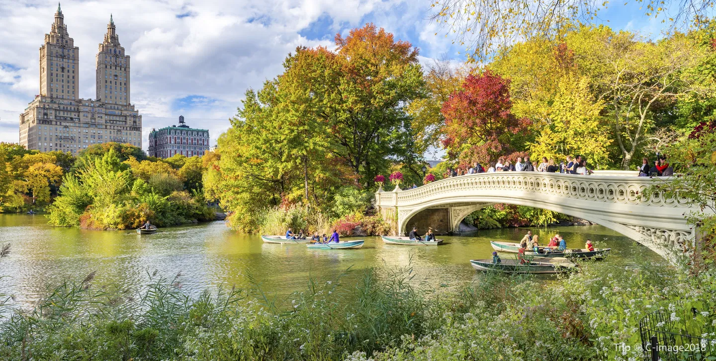 3_Central Park