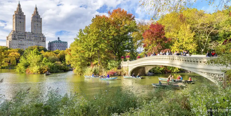 3_Central Park