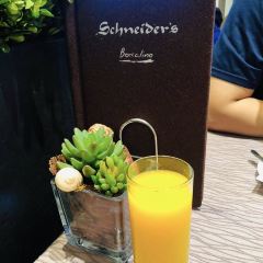 Schneider's User Photo