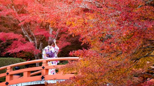 醍醐寺