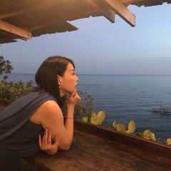 Bohol Bee Farm Resort User Photo
