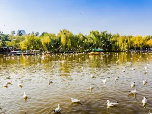 Green Lake Park