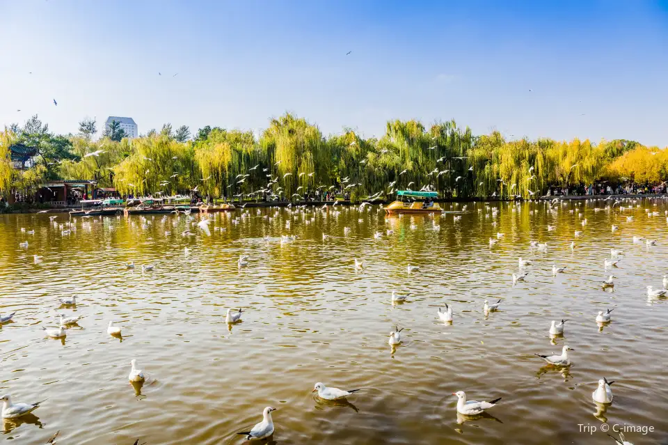 4_The Green Lake Park