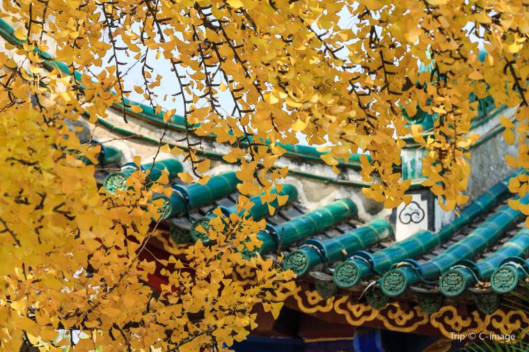 昆明観光が快適なベストシーズン