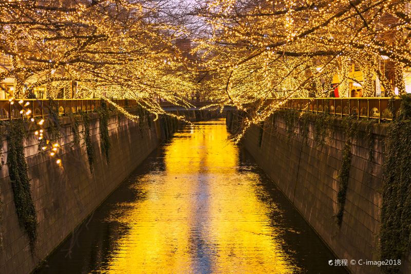 Meguro River