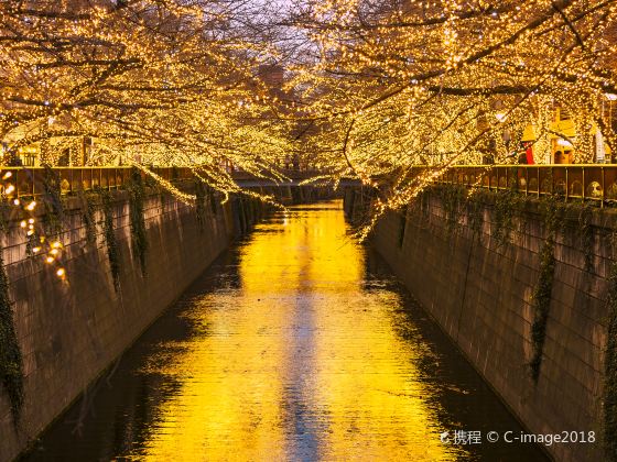 目黑川