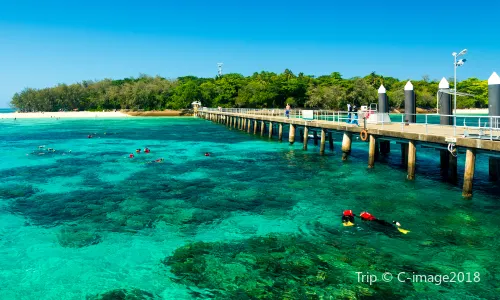 Green Island