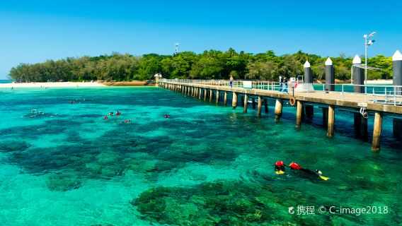 Tagesausflug zum Green Island in Cairns mit Bootsfahrt zu Großkatzen, Fahrt mit dem Glasbodenboot oder Schnorcheln am Great Barrier Reef und Mittagsbuffet