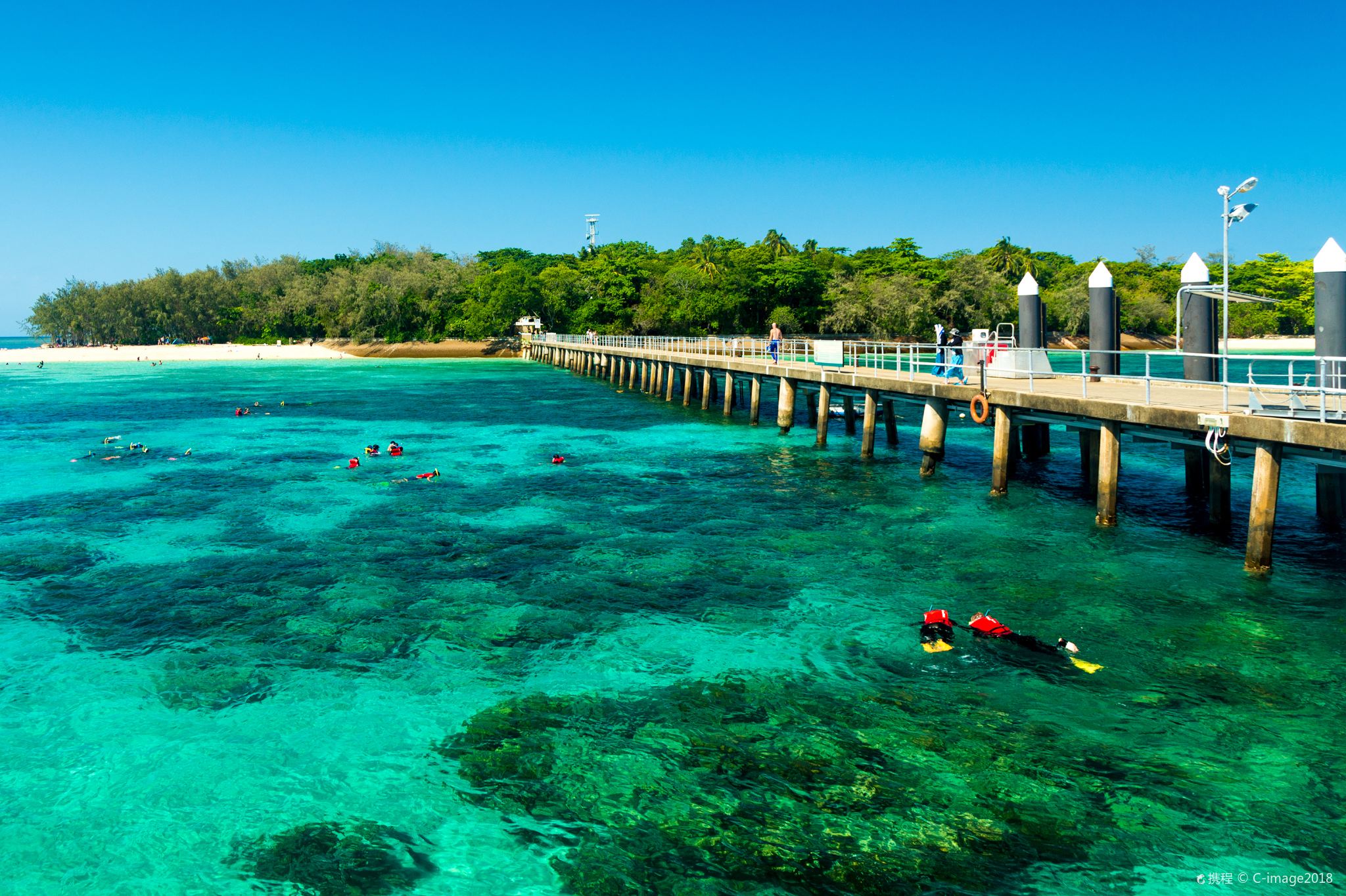 Cairns Green Island 1-Day Tour with Big Cat Cruise + Glass Bottom Boat Tour or Great Barrier Reef Snorkeling + Buffet Lunch
