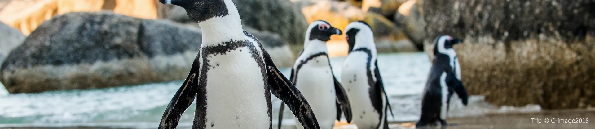 Family-Friendly Attractions