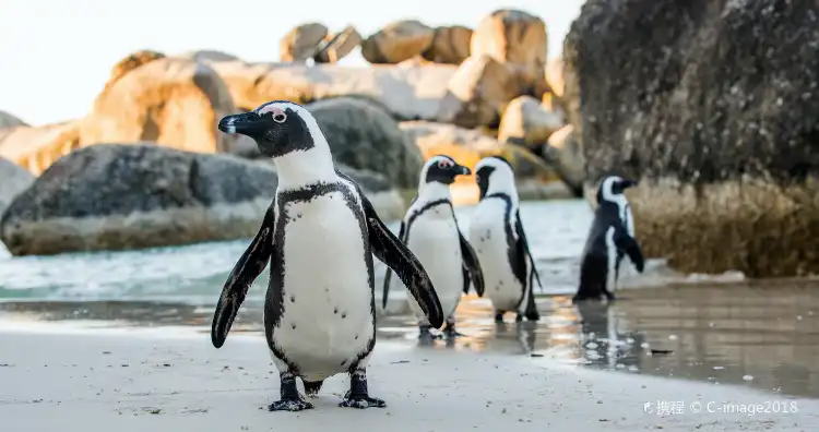Simons Town