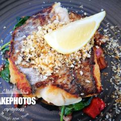 Cicerello's Mandurah User Photo