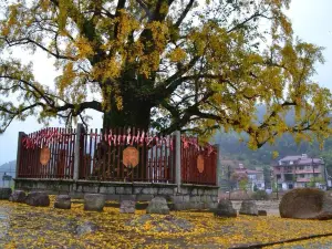 Meiling National Scenic Area