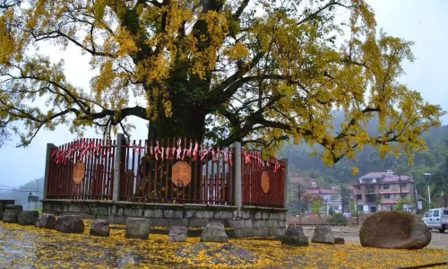 Meiling National Scenic Area