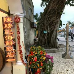 Chan Seng Kei User Photo