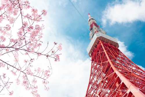 東京捷運1 / 2 / 3日乘車券(不限次數搭乘)