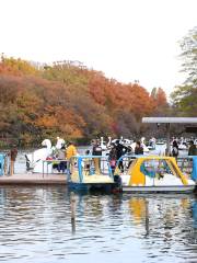 Inokashira Pond Boat Noriba