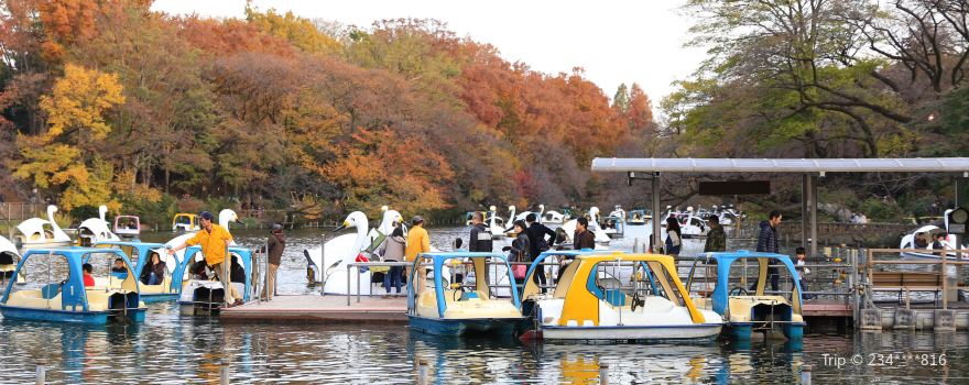 Inokashira Pond