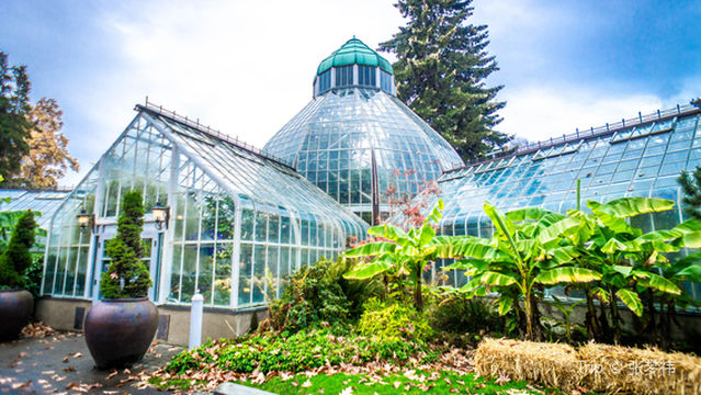 W.W. Seymour Botanical Conservatory