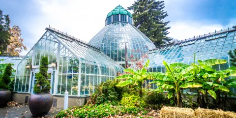W.W. Seymour Botanical Conservatory