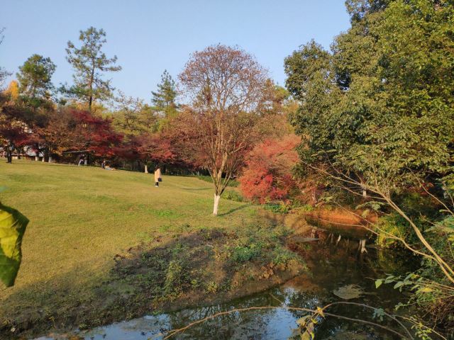 太子灣公園