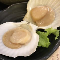 Nouenrobatashimabutaya User Photo