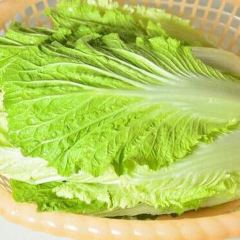 黄姚大樟树农庄 User Photo
