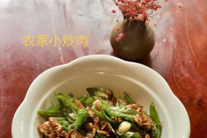 原生墅(淮川教师公寓店)