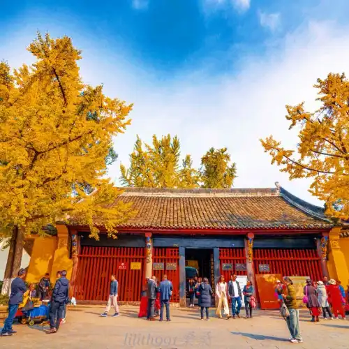 Top 50 Fall Viewing Attractions in Chengdu