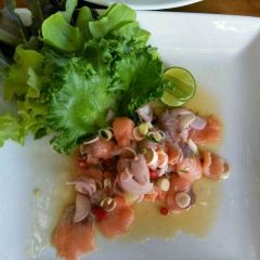 Red Snapper User Photo