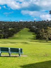 Anglesea Bike Park